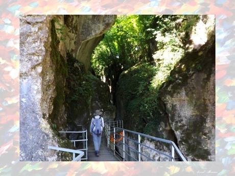 La France - Les gorges du Fier