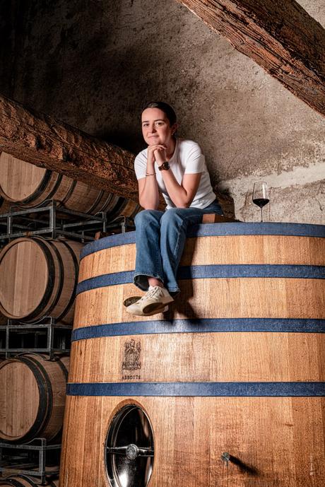 Delaunay Vins & Domaines: L’Évolution d’un Héritage Vinicole