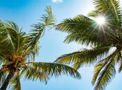 Construire Carrière Médicale l’île Maurice Guide Pratique