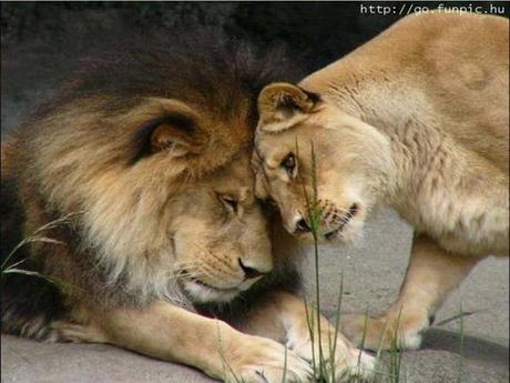 Divers - Sais-tu qui je suis