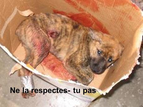 Divers - Sais-tu qui je suis