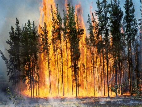 Divers - Sais-tu qui je suis