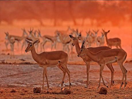 Divers - Sais-tu qui je suis