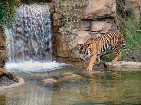 Divers - Sais-tu qui je suis