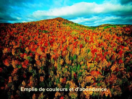 Divers - Sais-tu qui je suis