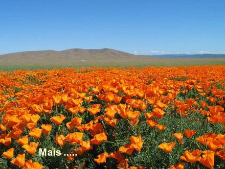 Divers - Sais-tu qui je suis