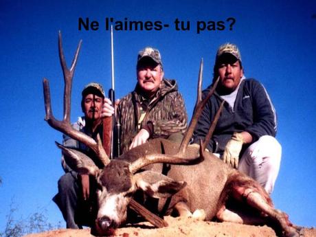 Divers - Sais-tu qui je suis