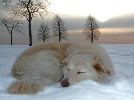 Divers - Sais-tu qui je suis