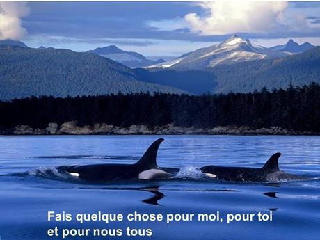 Divers - Sais-tu qui je suis