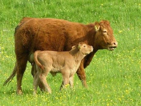 Divers - Sais-tu qui je suis