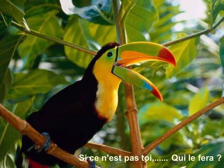 Divers - Sais-tu qui je suis