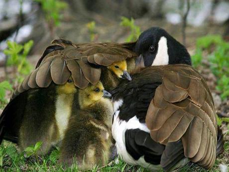 Divers - Sais-tu qui je suis