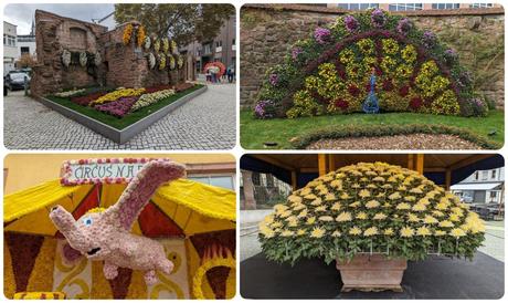 Chrysanthema 2023 Chrysanthema 2023