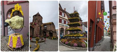 Chrysanthema 2023 Chrysanthema 2023