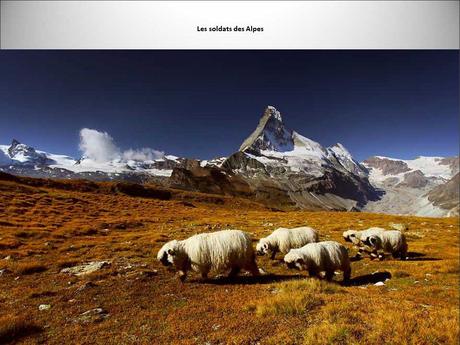 Divers - Les plus beaux sommets d'Europe