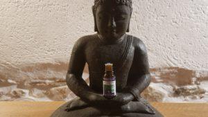 Le sens de l’exercice