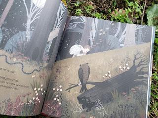 Pierre et la forêt ❤❤❤ Pierre et la forêt ❤❤❤