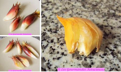 Cyclanthères et gingembre japonais Mogia au poivre de Sichuan (Vegan)