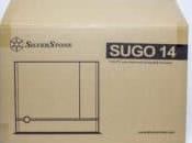 Silverstone Sugo Boîtier avec beaucoup d’espace