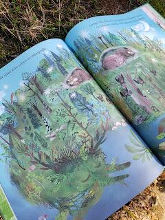 NATURA de Yuval Zommer ❤ NATURA de Yuval Zommer ❤