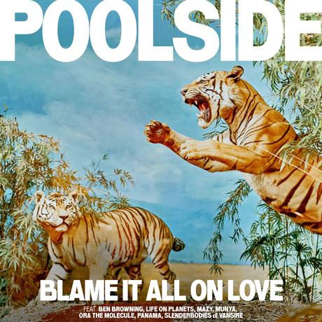 Poolside ‘ Blame It All On Love