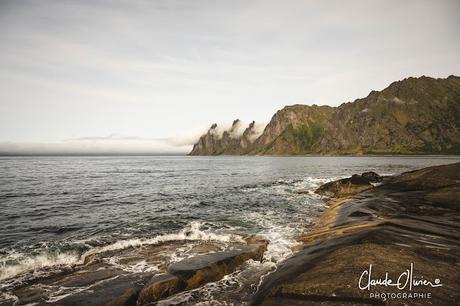 À la découverte des îles Lofoten et Vesteralen : L'île de Senja et ses merveilles À la découverte des îles Lofoten et Vesteralen : L'île de Senja et ses merveilles