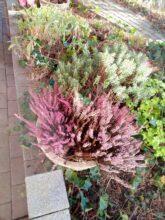 Gigaset GS3 – Le smartphone qui change de couleur en test