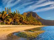 Comment créer réseau d’affaires l’île Maurice