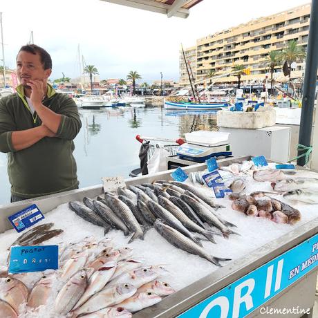 Balade en bateau et Le Jardin des Plantes à Saint Cyprien Balade en bateau et Le Jardin des Plantes à Saint Cyprien