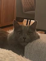 Spooky (2017-2023) Spooky (2017-2023)