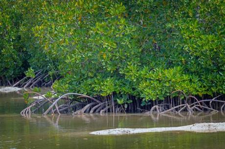 Pourquoi l’île Maurice est l’endroit pour les amateurs de santé et de fitness Pourquoi l’île Maurice est l’endroit pour les amateurs de santé et de fitness
