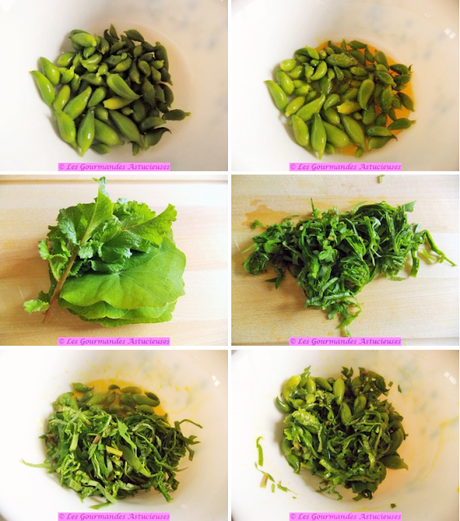 Cyclanthères en salade et pickles de radis (Vegan)