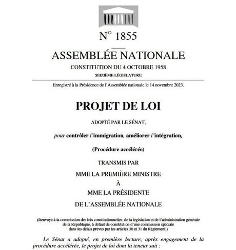 Des bleus à l'A.M.E. (aide médicale d'État) : entre posture et protection Des bleus à l'A.M.E. (aide médicale d'État) : entre posture et protection