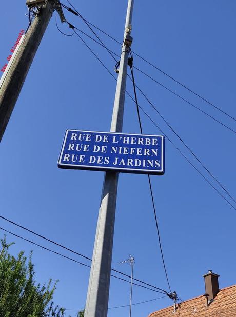 Projet 52-2023 #46 – Par Monts et par Vaux…