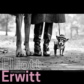 logo elliott erwitt