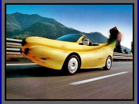 Divers - Avec lequel ou laquelle voulez-vous partir en vacances