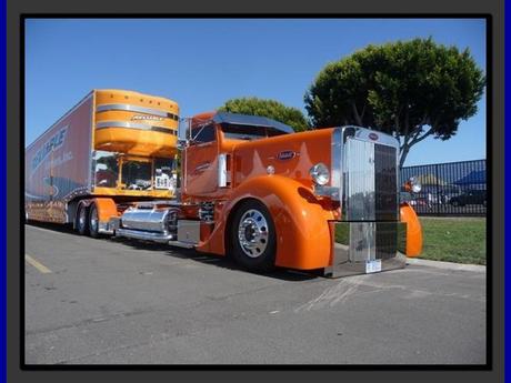 Divers - Avec lequel ou laquelle voulez-vous partir en vacances