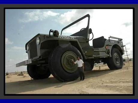Divers - Avec lequel ou laquelle voulez-vous partir en vacances