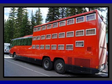 Divers - Avec lequel ou laquelle voulez-vous partir en vacances