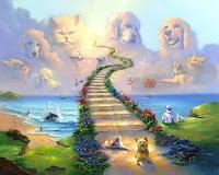 Nos animaux vont-ils nous accompagner dans l’au-delà ?