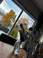 Atterir d'Où On a Jamais Souhaité Se Rendre Si Vite (ni comme ça) Atterir d'Où On a Jamais Souhaité Se Rendre Si Vite (ni comme ça)