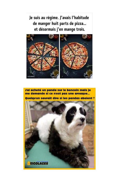 Divers - Un Peu d'humour