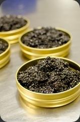 Caviar - Caspian Tradition Caviar - Caspian Tradition