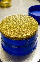 Caviar - Caspian Tradition Caviar - Caspian Tradition