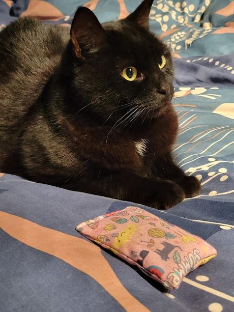 Quiche  {pas}  lorraine