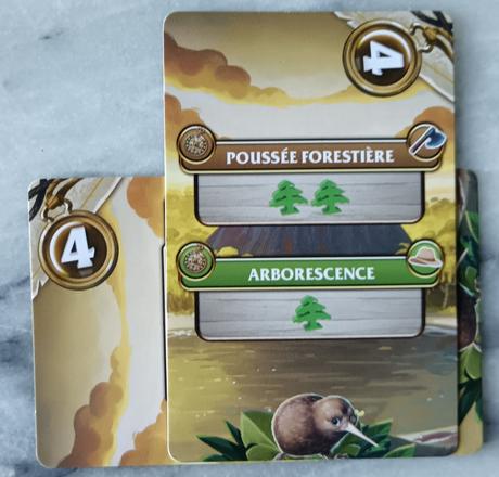 Test et avis de Kauri chez Débâcle Jeux 11 Test et avis de Kauri chez Débâcle Jeux