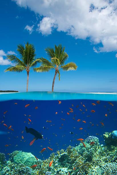 L’Île Maurice – Le Top de la Liste des Suisses qui Cherchent le Soleil et le Sable