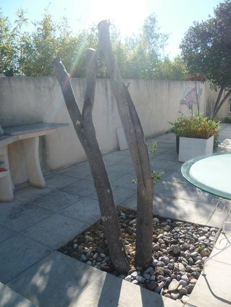 jardin,jardinage,coupe,tronçonneuse,entretien jardin