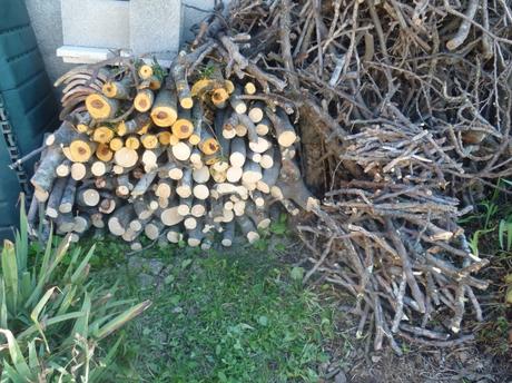 jardin,jardinage,coupe,tronçonneuse,entretien jardin