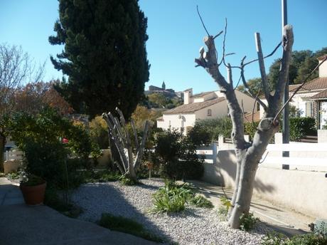 jardin,jardinage,coupe,tronçonneuse,entretien jardin